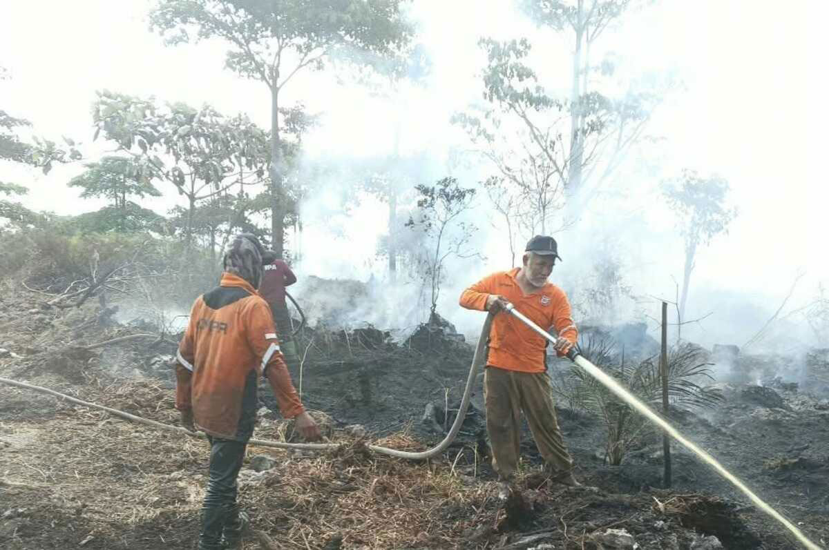 Karhutla di Indonesia Berkaitan dengan Gambut, ini Proses Pembentukannya