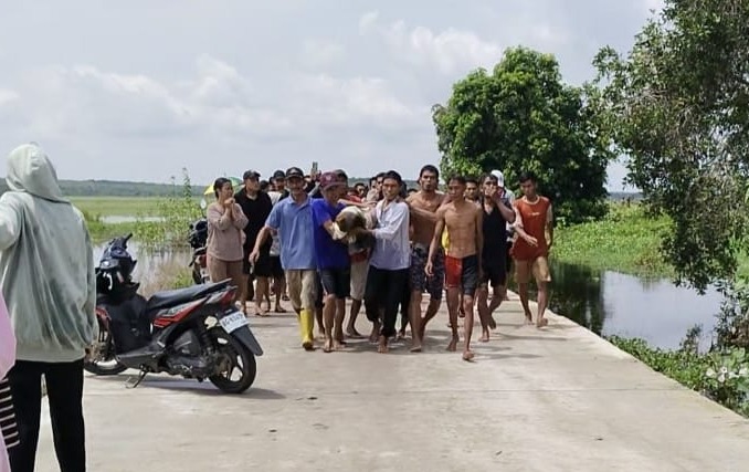 BREAKING NEWS: Siswa SMPN 1 Indralaya Selatan yang Jadi Korban Tenggelam Akhirnya Ditemukan