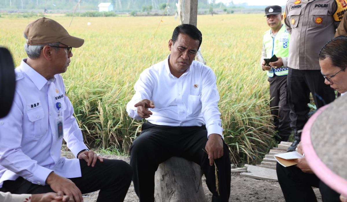 Tinjau Rawa Lebak di Ogan Ilir, Mentan RI Harap Produktivitas Padi Meningkat