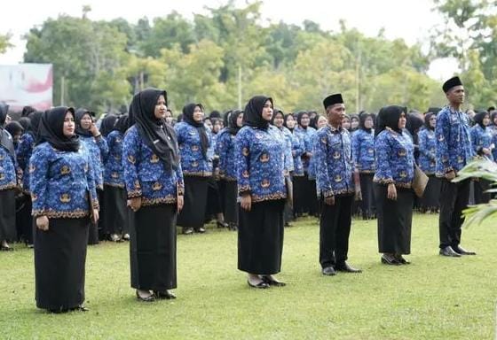 Ini Penyebab PPPK Paruh Waktu di Banyuasin Belum Terima Gaji