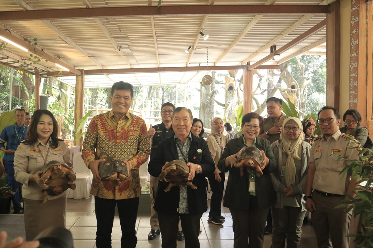 Langka di Dunia! Taman Safari Bogor Terima Empat Kura-Kura Madagaskar Hasil Sitaan BKI