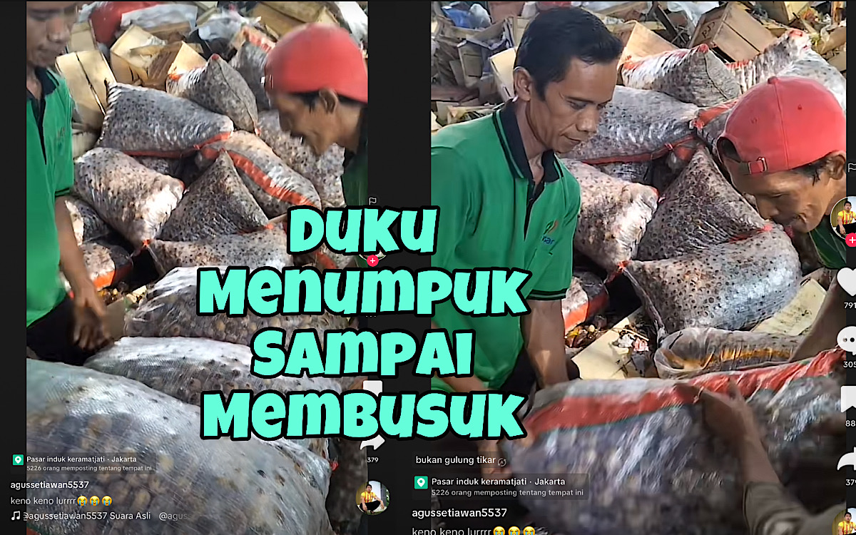 Duku Melimpah Busuk Dibuang ke Tempat Sampah, Dikasih Gratis Sudah Menghitam Banyak yang Nolak 