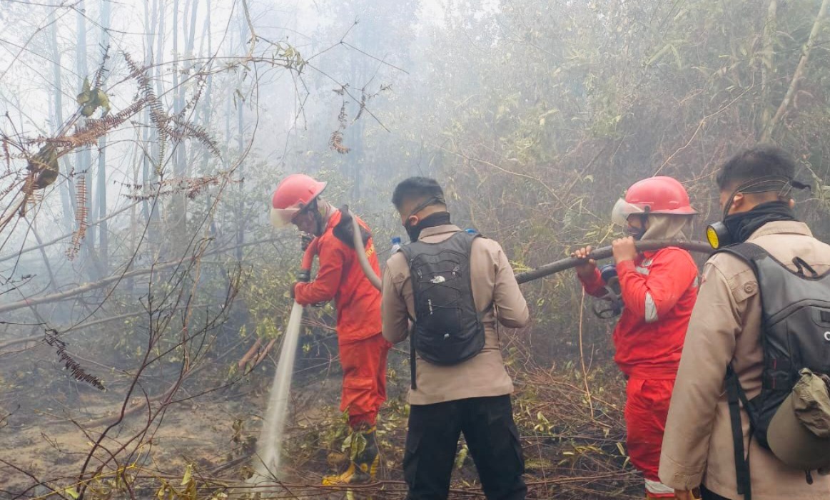 Sudah 3 Hari Petugas Gabungan Padamkan Api Karhutla Seluas 10 Hektare di OKI, Polda Sumsel Pertebal Personel