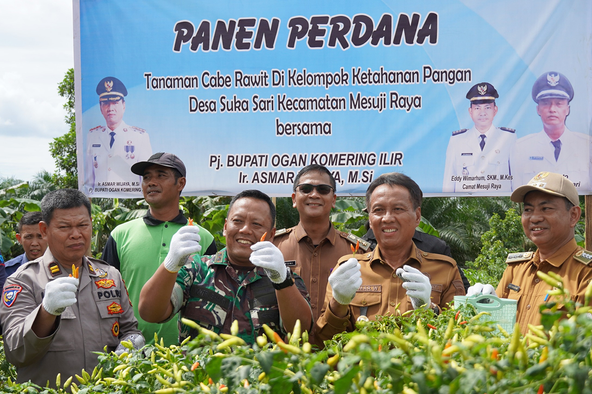  Panen Raya Cabe di OKI Sukses Kendalikan Inflasi Daerah