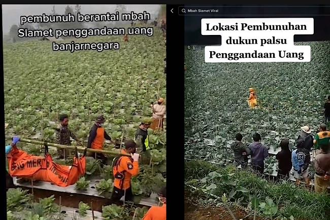 Merinding, Tanaman Sayuran di Area Kuburan Belasan Korban Dukun Slamet, Petani Kena Imbasnya, Siapa Mau Makan?