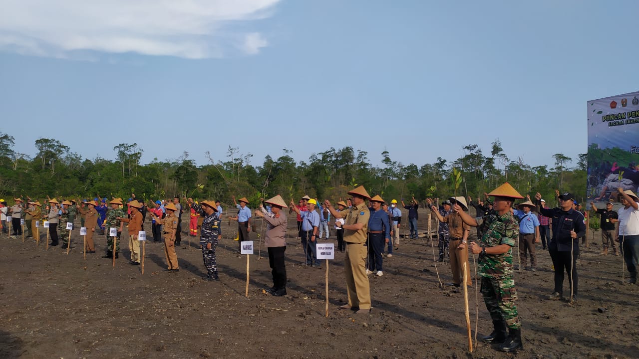 10.000 Batang Mangrove Ditanam di Pesisir Pantai Timur Air Sugihan OKI 