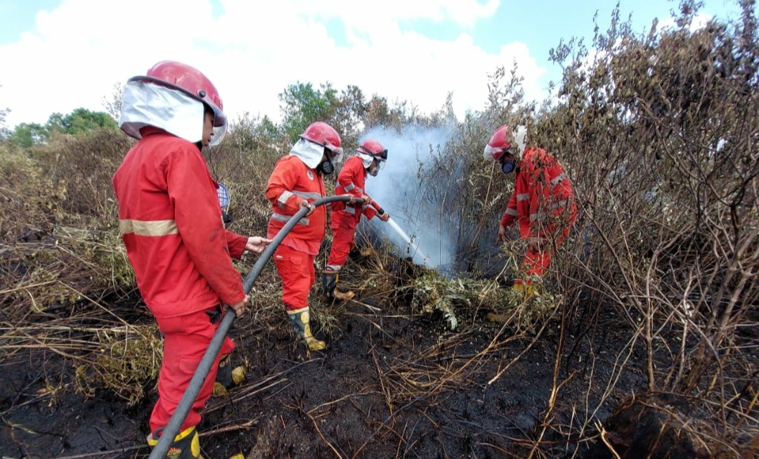 Lahan Gambut di 4 Desa Kabupaten OKI Terbakar, Pemadaman Terkendala Angin Kencang