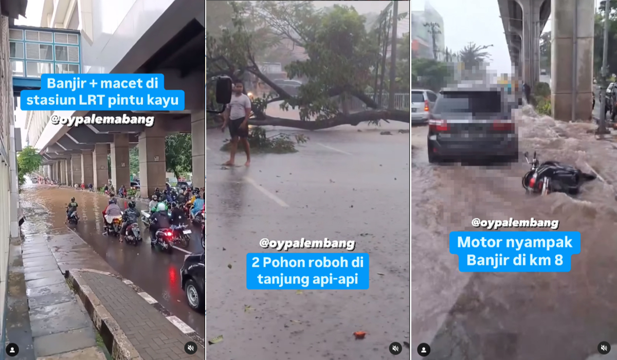 Hujan dan Angin Kencang Menghantam Kota Palembang Membuat 2 Pohon Tumbang di Jalan Tanjung Siapi-api