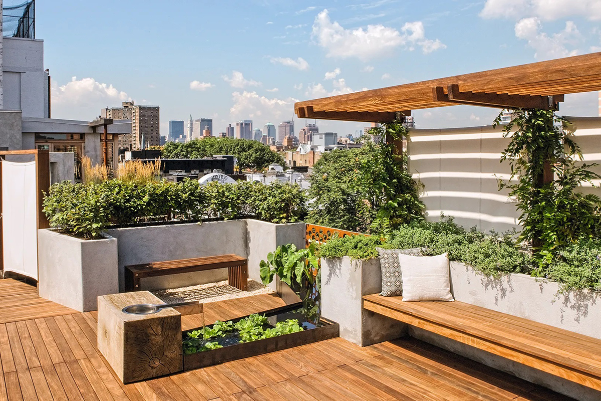 9 Tanaman Hias yang Cocok untuk Rooftop, Bikin Rumahmu Makin Asri dan Nyaman