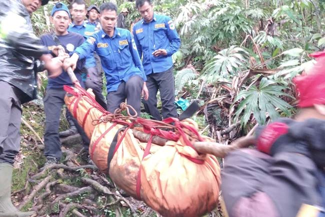 Evakuasi Mayat Pria yang Ditemukan di Bibir Puncak Gunung Api Dempo Pagaralam Terkendala Hujan
