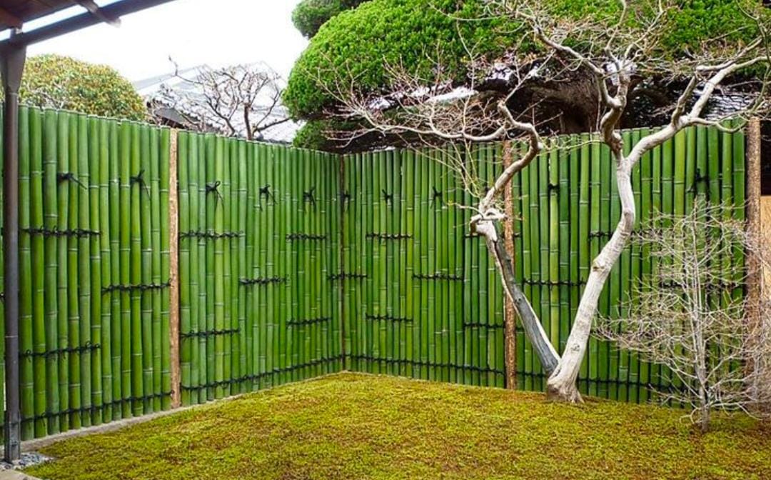 7 Rekomendasi Desain Pagar Bambu, Bikin Rumah Hunian Anda Makin Estetik Ala Pedesaan