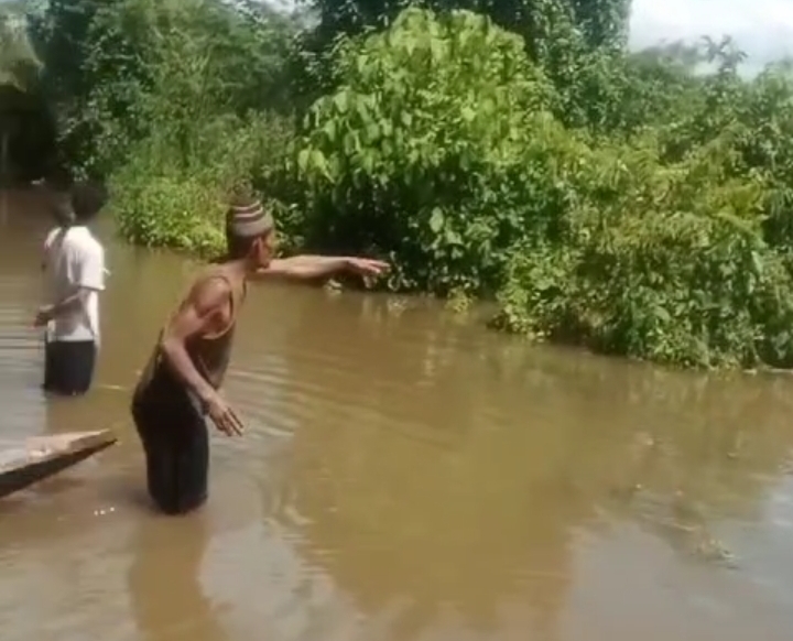 Warga Desa Ulak Paceh Jaya Tengok Buaya Raksasa Ukuran 4 Meter Muncul Ditengah Banjir, Wujudnya Menyeramkan!