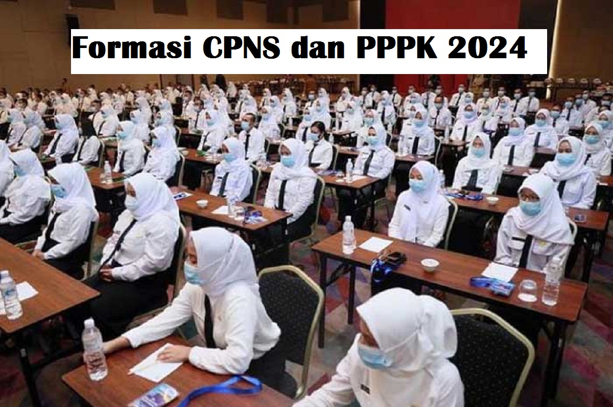 Siap-siap! Penerimaan CPNS dan PPPK 2024 Segera Dibuka, Ini Formasinya 