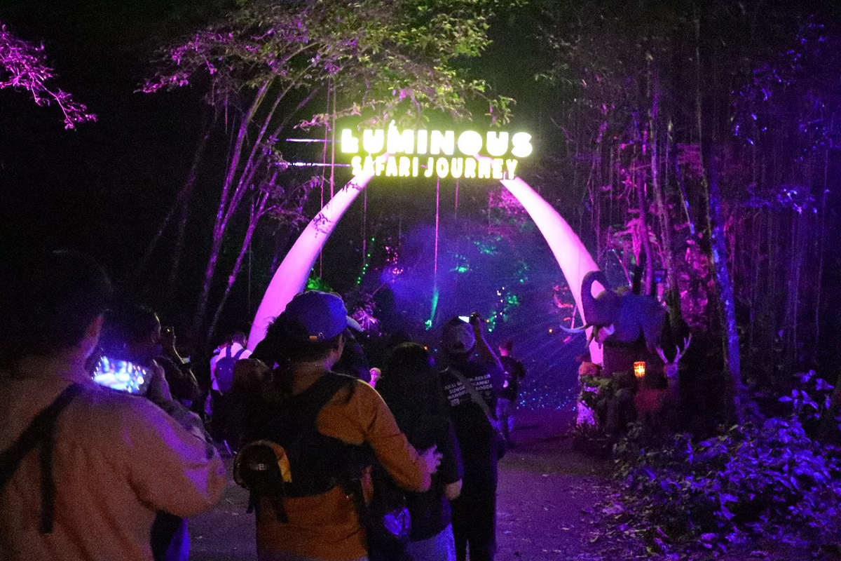 Disambut Semarak! Parade Hutan Menyala ‘Luminous Journey’ di Taman Safari Bogor Diserbu Wisatawan 