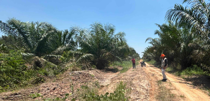 BPBD OKI Turunkan Tim TRC, Jalan Rusak di Mesuji Raya Akibat Hujan 