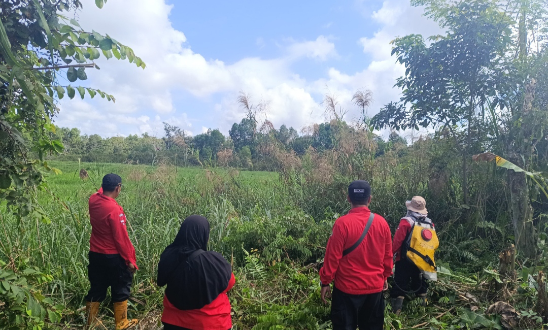 Ketinggian Air Lahan Gambut Masih Normal, Namun Kerawanan Karhutla Tetap Tinggi