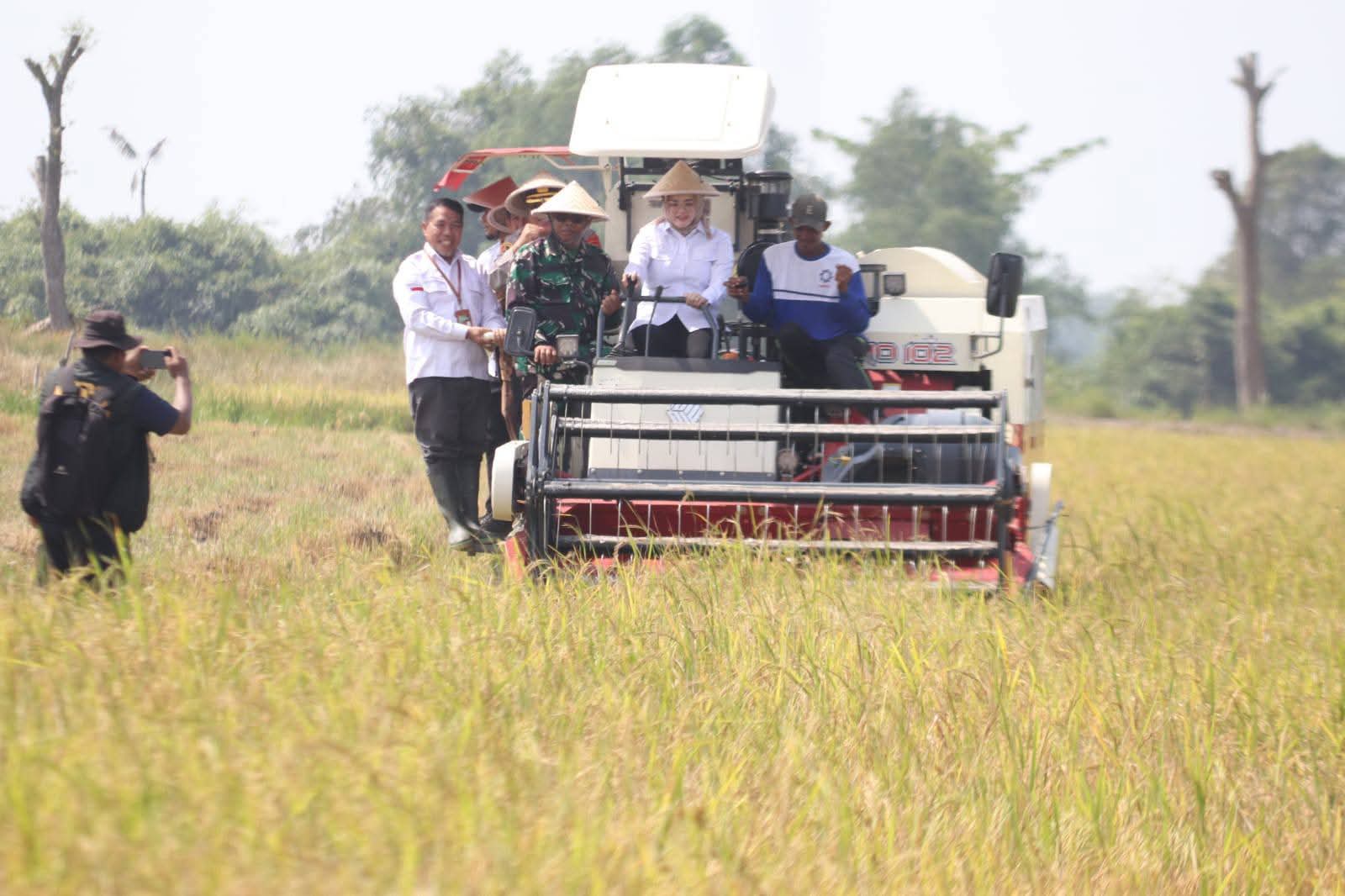Panen Raya di Upang Jaya, Kabupaten Banyuasin Wujudkan Swasembada Pangan