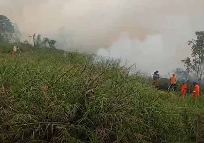 Kebakaran Lahan Perkantoran Bupati Muratara Nyaris Merembet ke Permukiman Warga