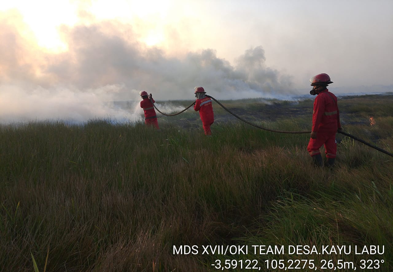 2 Hari Lahan Gambut di Desa Kayu Labu OKI Seluas 5 Hektare Terbakar