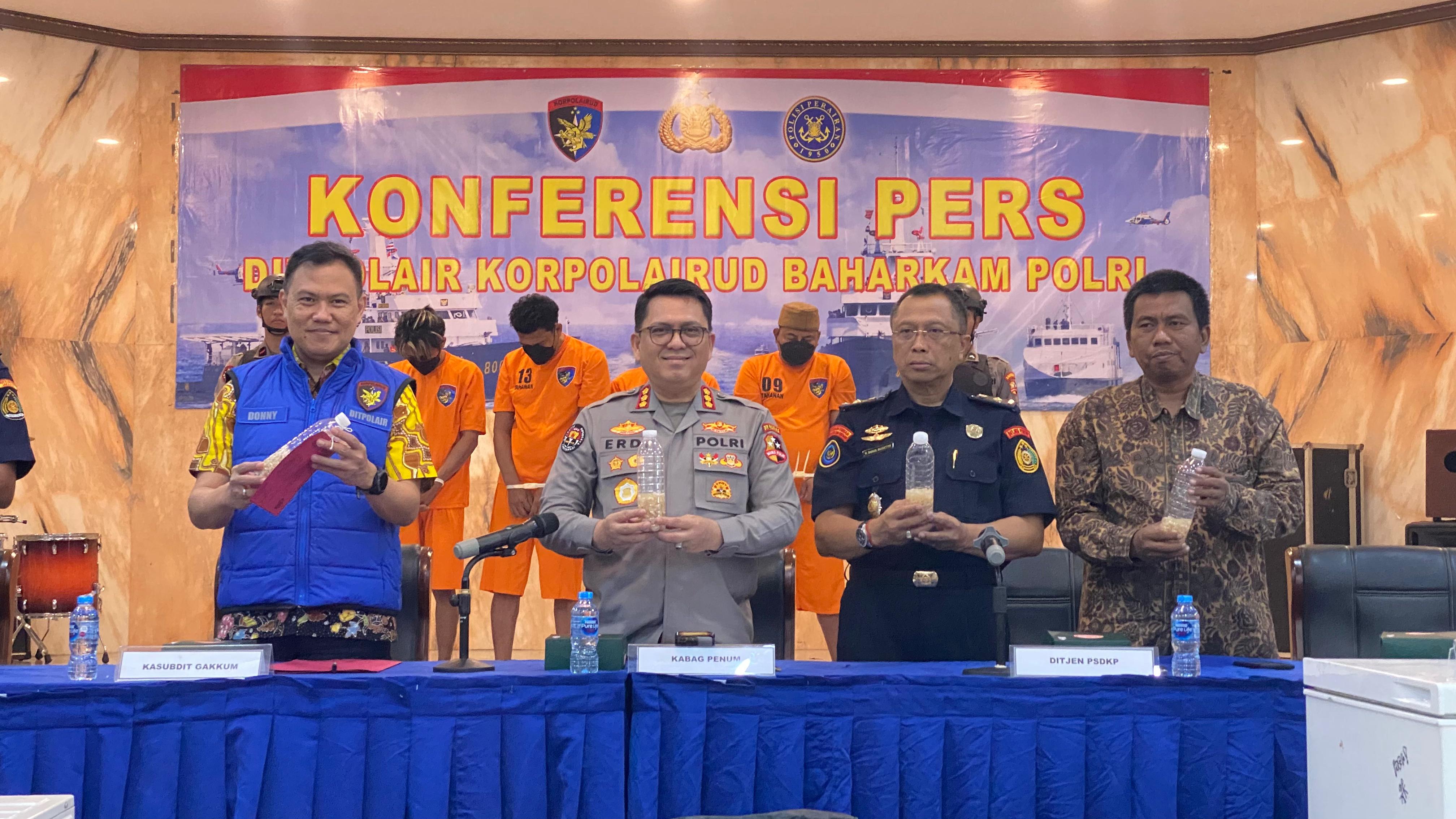 Baharkam Polri Amankan 4 Pelaku Penyelundupan 134 Ribu Baby Lobster Senilai Rp32,8 Miliar