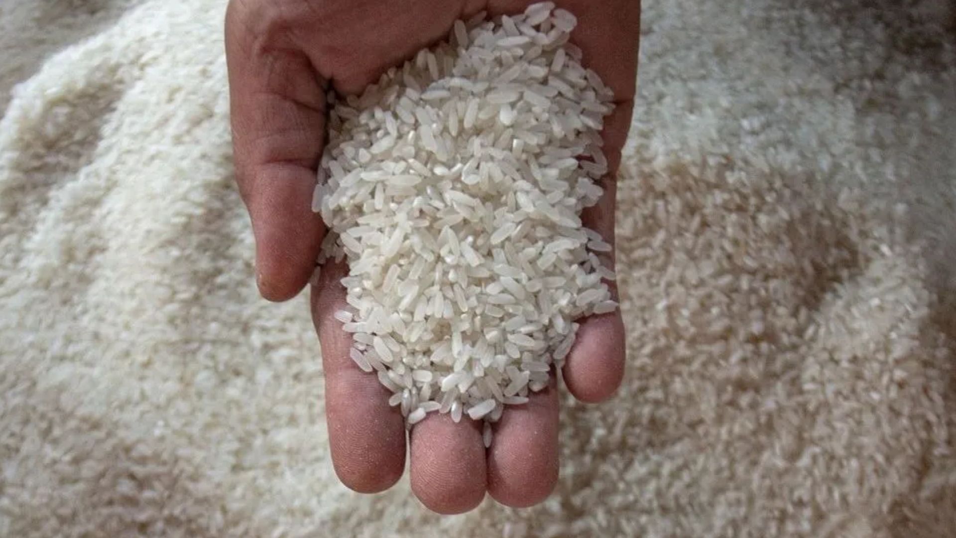 Batas Waktu Bayar Zakat Fitrah 2026 Menurut Keputusan MUI dan Baznas