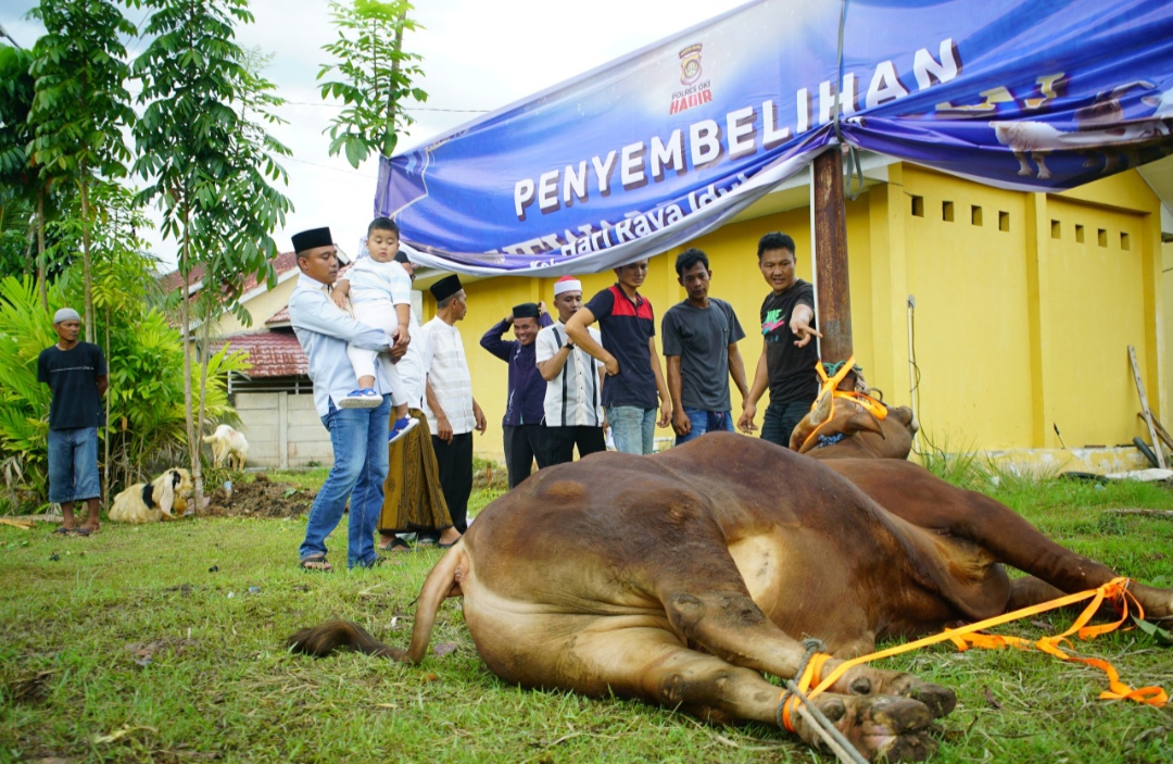 Polres OKI Gelar Sholat Ied Bersama dan Sembelih 15 Sapi dan 17 Kambing Kurban