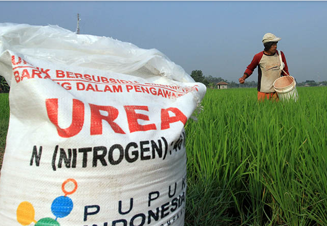 Catat Tanggalnya! Kesempatan Petani untuk Daftar jadi Penerima Pupuk Subsidi Tahun Depan