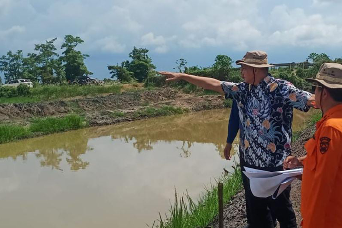 Optimasi Lahan Tambah 5.000 Hektar Sawah, Petani Makin Sejahtera