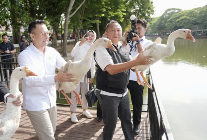 Jaga Keseimbangan Alam, Kajati Sumsel dan Raffi Ahmad Lepas Liar Angsa & Ikan di Kambang Iwak
