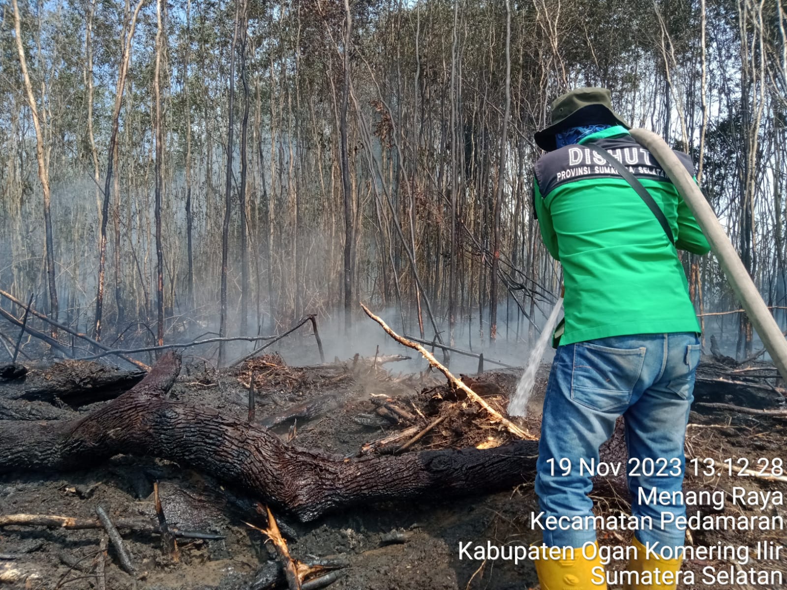 Lahan Gambut Didominasi Gelam, Karhutla di Desa Menang Raya Pedamaran OKI Sisakan 3 Titik Api