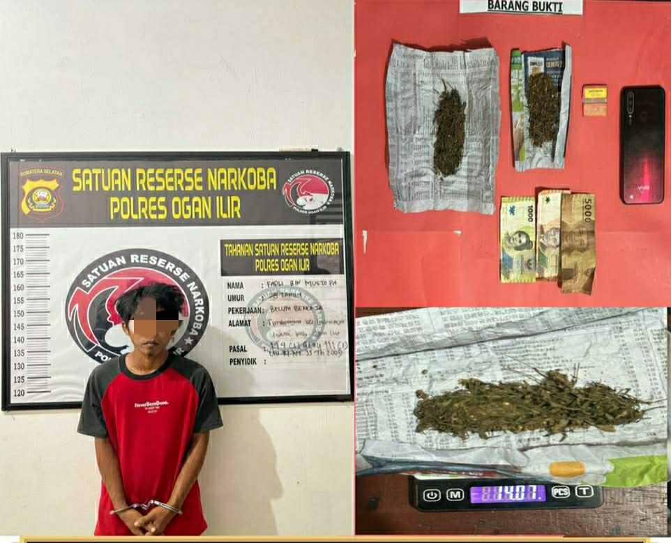 Pengedar Ganja Ditangkap Sat Res Narkoba Polres Ogan Ilir, Polisi Temukan 14,07 Gram dari Pelaku