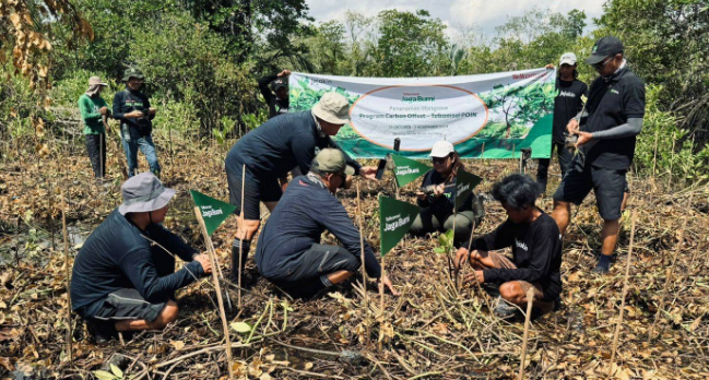 Telkomsel Tanam 10.600 Mangrove Hasil Donasi Poin Pelanggan, Ini Lokasinya Penanamannya