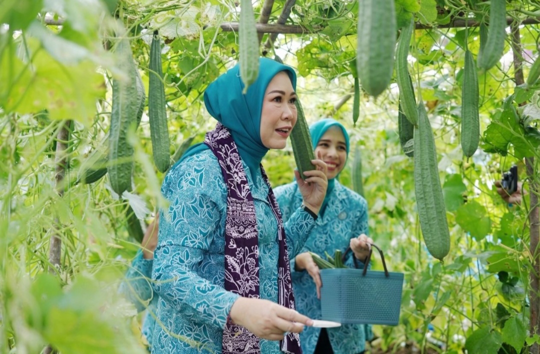 PKK Mitra Strategis Pembangunan Berbasis Keluarga