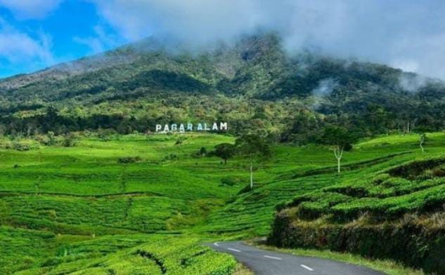 5 Daerah yang Miliki Dataran Tertinggi di Sumatera Selatan, Palembang Hanya Miliki Ketinggian Wilayah 8 Mdpl