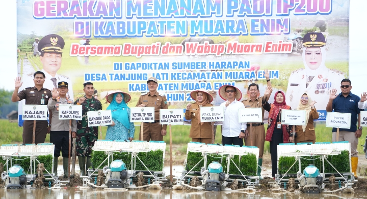 Menuju Swasembada Pangan, Muara Enim Genjot Produksi Padi dengan Teknologi Rice Transplanter