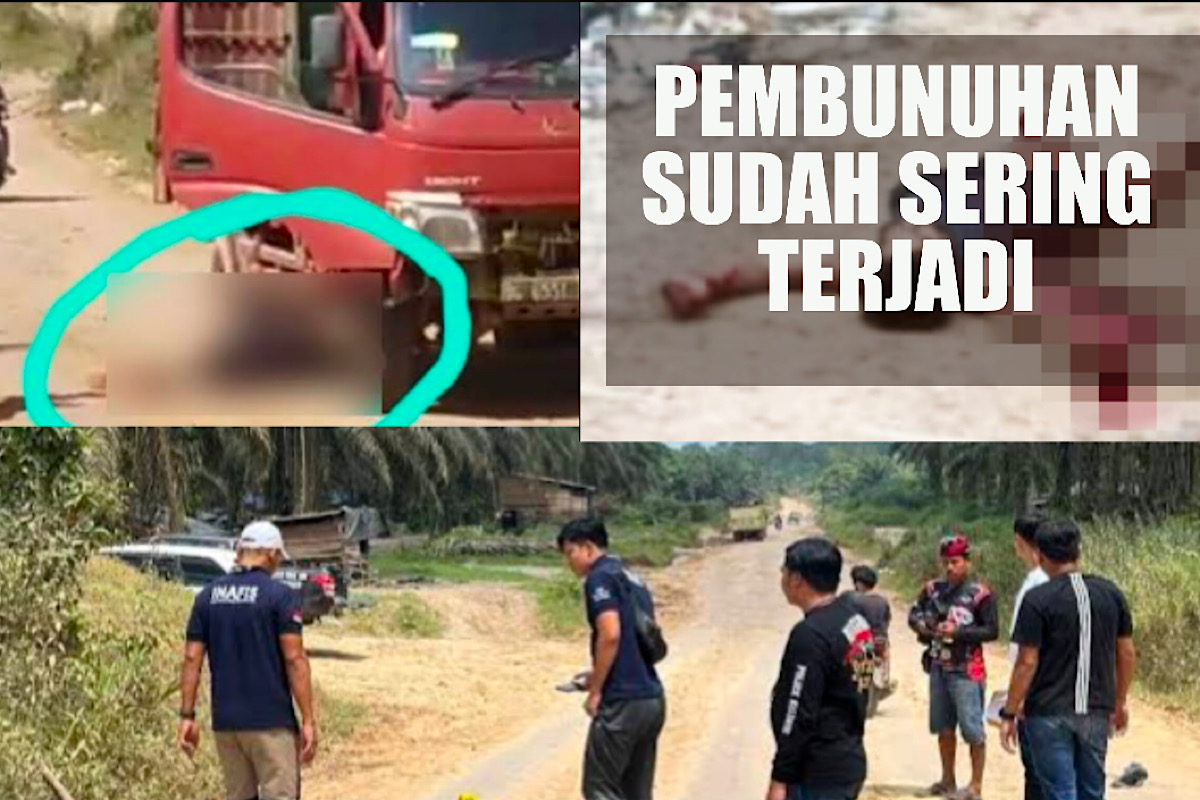 Jasad Terkapar di Area HGU Hindoli Fenomena Siapa Penguasa Terkuat Tambang Minyak Ilegal di Muba