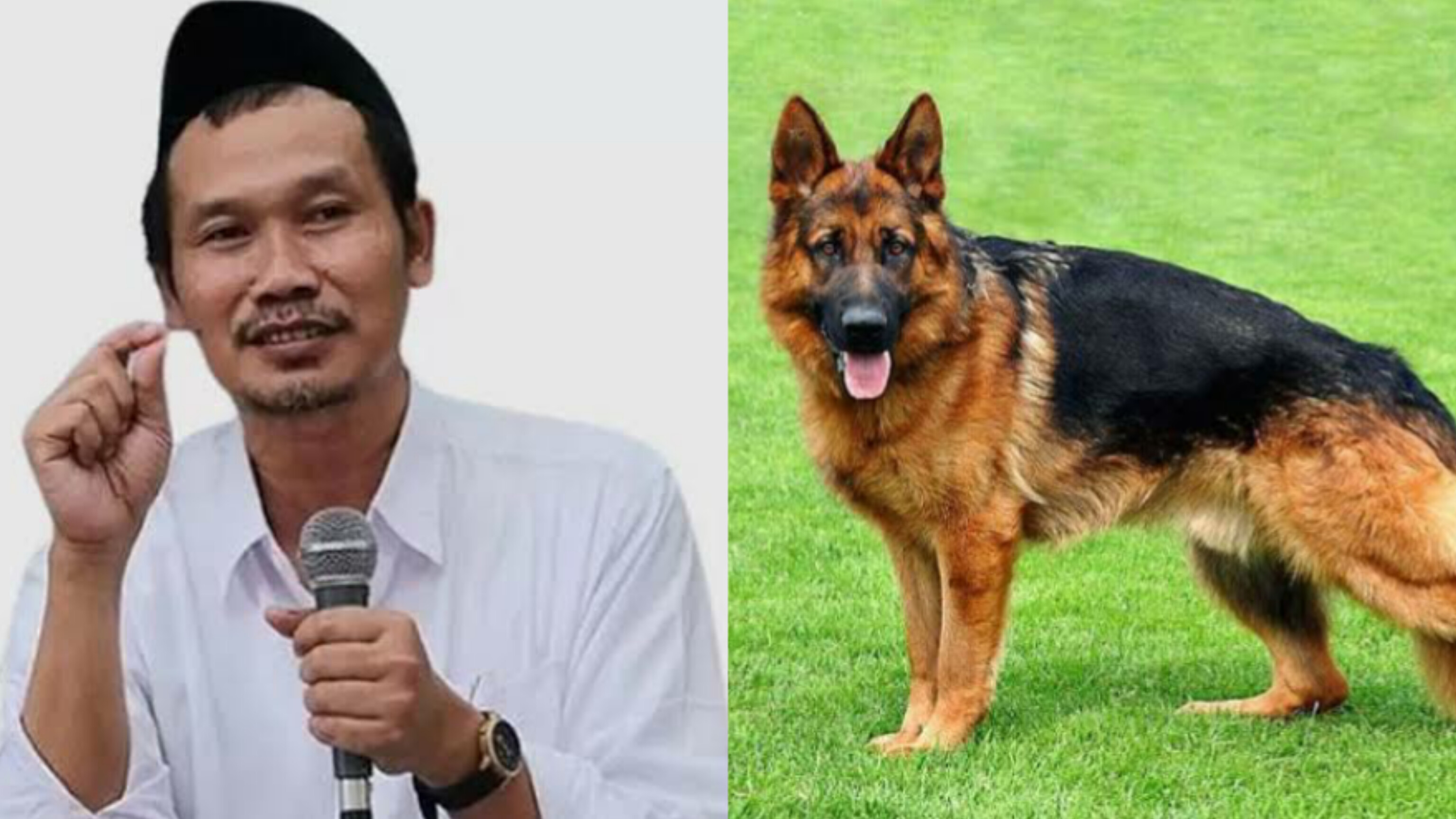 HEBOH, Gus Baha Sebut Anjing Tak Dihukumi Najis, Warganet Banyak yang Gagal Paham: Lah Kok Bisa Gus?