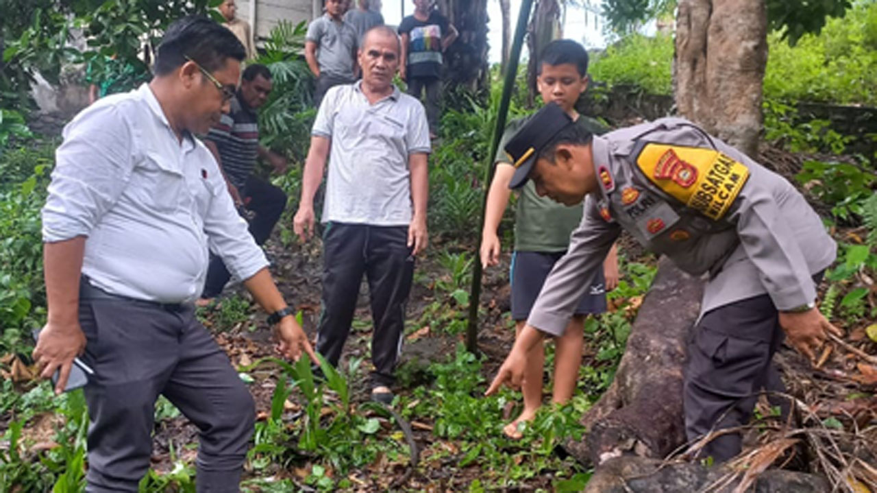  Diduga Terpeleset Saat Panjat Pohon Durian, Pria Lajang 72 Tahun di Musi Rawas Ditemukan Tewas 