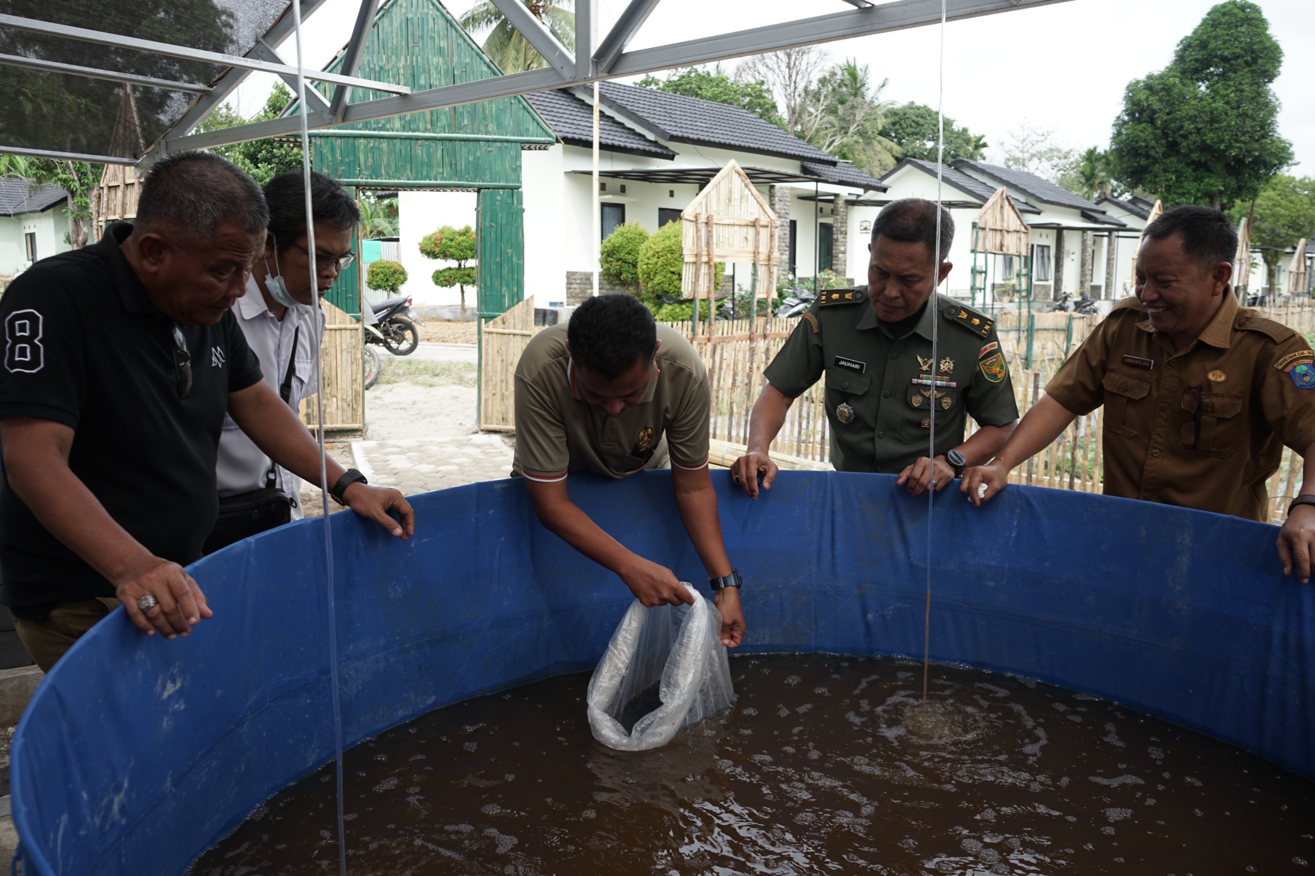 Ribuan Benih Ikan Dibudidayakan di Kolam Terpal, Tingkatkan Ketahanan Pangan