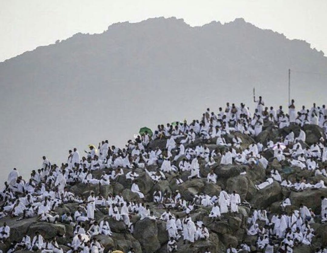 Jutaan Calon Jemaah Haji (JCH) Bergerak Menuju Arafah, Tercatat 112 Jemaah Meninggal Dunia 