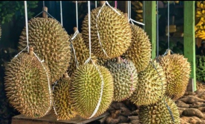 Durian Serbu Palembang, Jangan Asal Pilih Begini 6 Tips Terbaru Cara Memilih Buah yang Tebal dan Rasanya Manis