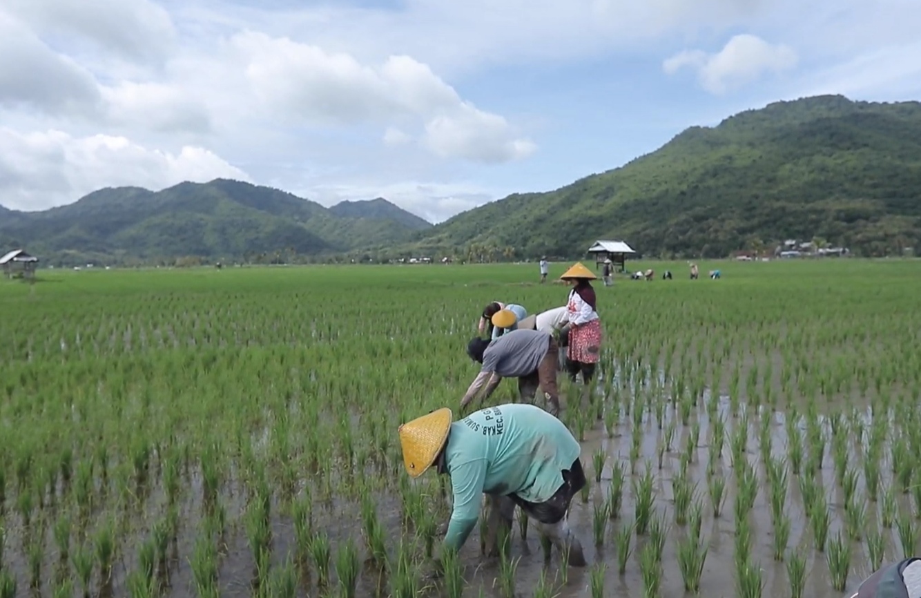 Berbasis Gotong Royong, Desa Manemeng Perkuat Ekosistem Ekonomi Kerakyatan melalui Program Desa BRILiaN
