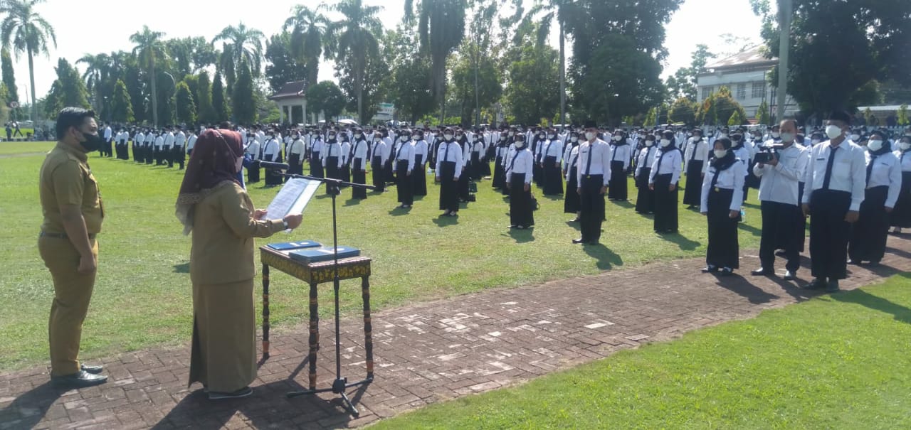 Kinerja PPPK Dievaluasi Tiap Tahun, 3 Bulan Berturut Tak Hadir Langsung Diberhentikan