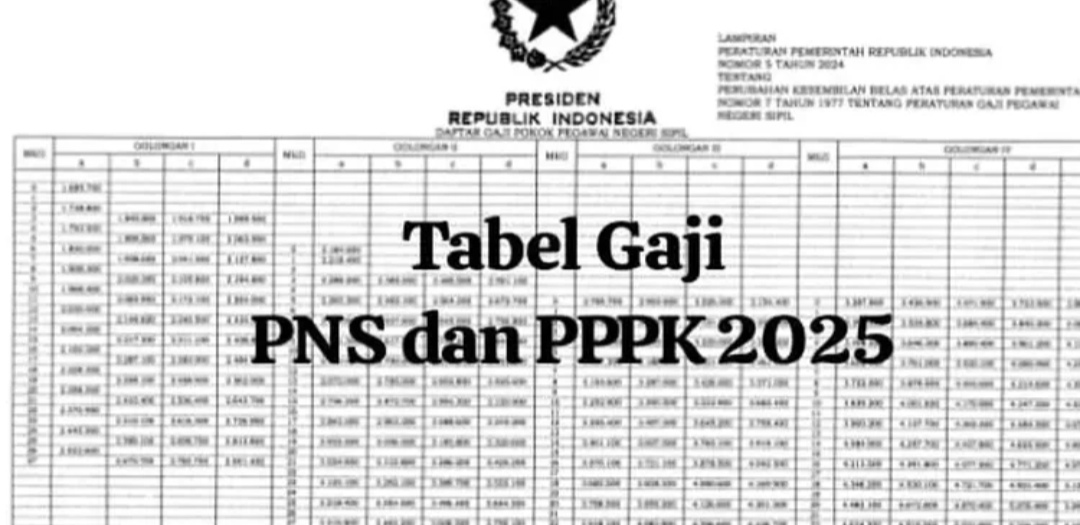 Horee! Terkait Gaji PPPK Perpres Resmi Disahkan, PPPK Tahap 2 Akan Terima Gaji