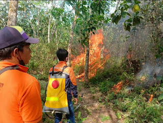 Hujan Dua Hari Belum Mampu Kurangi 225 Titik Api di Lima Kecamatan PALI