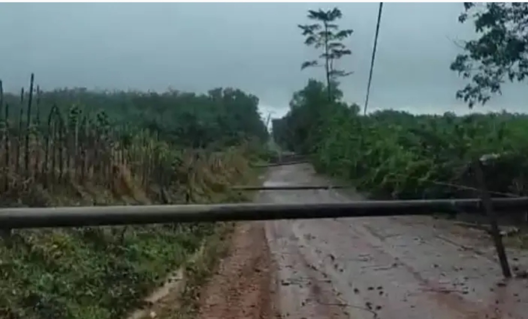 Empat Tiang Listrik di Pedamaran Timur OKI Roboh, Hujan Deras dan Angin Kencang