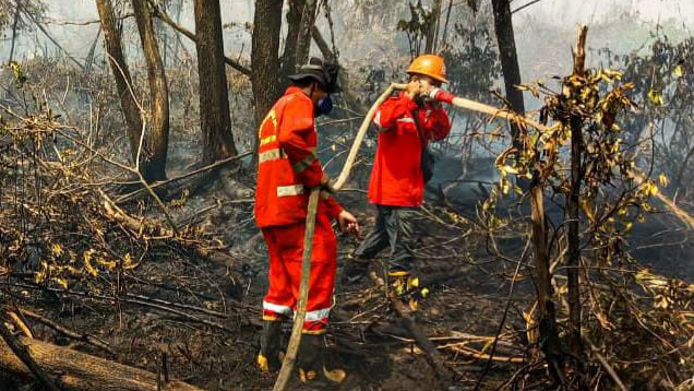 Warning Karhutla! 2 Titik Api Ditemukan di Banyuasin, BPBD: 6 Hektare Lahan Hangus Terbakar