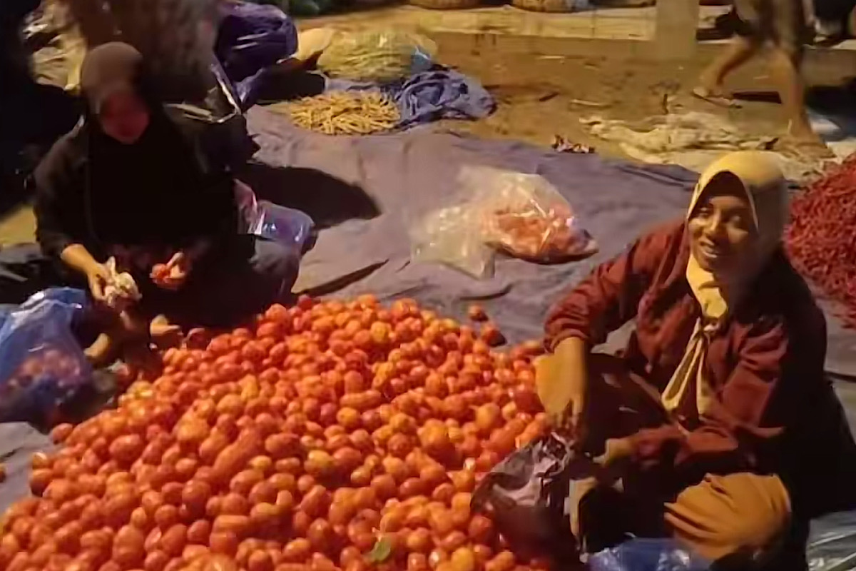 Kisah Sedih Safitri Sisihkan Uang Cabe Beli Baju Korpri, Biar Suami Gagah Dilantik PPPK Tapi Dicerai 