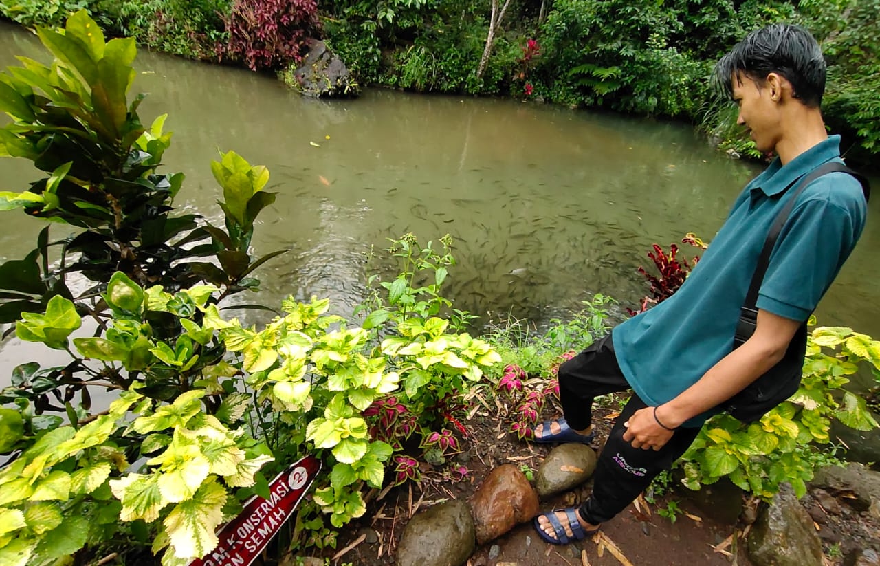 Budidaya Ikan Semah Nan Langka, Spot Destinasi Wisata Favorit dan Unik di Green Paradise Pagaralam 