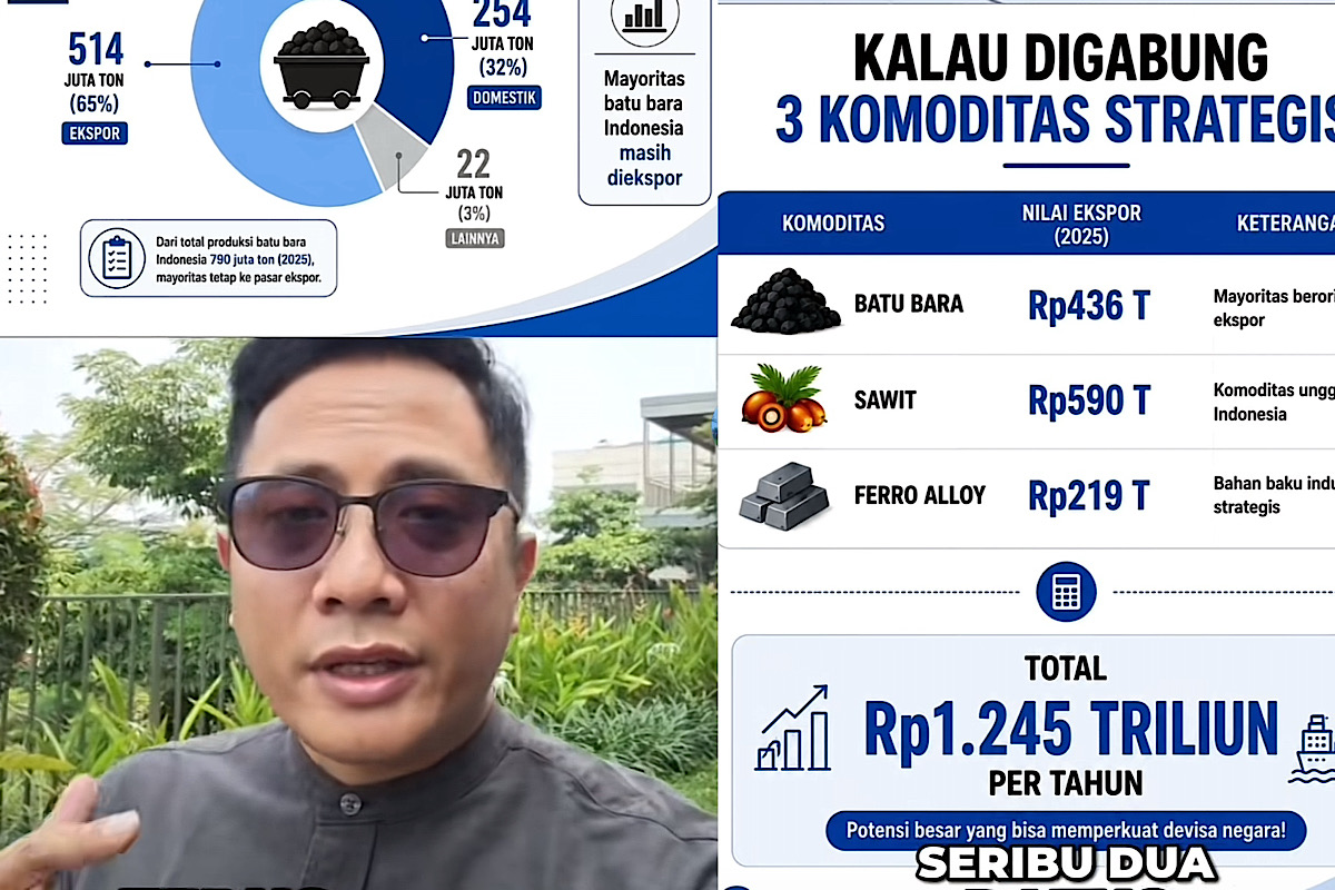 Listrik Padam Biasanya Alam yang Disalahkan, Tapi Kali Ini Batu Bara, Kok Bisa? 